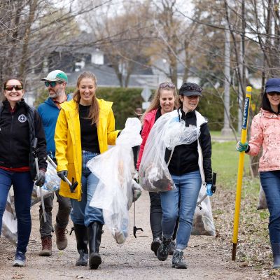 nettoyage des boisés